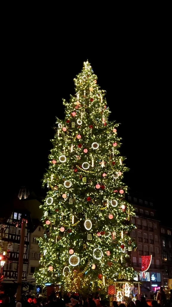 斯特拉斯堡经典的圣诞树